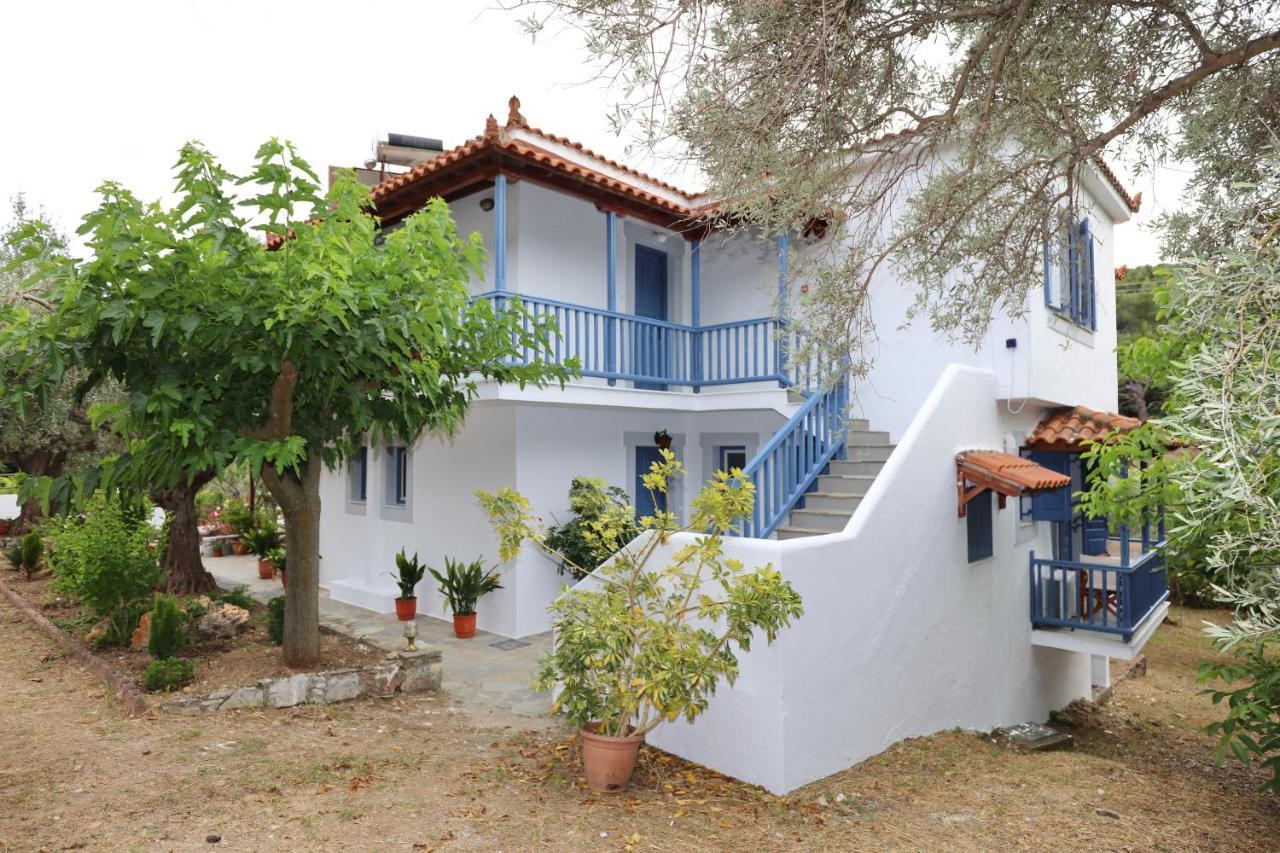 Skopelos Panos Studios Στάφυλος Εξωτερικό φωτογραφία